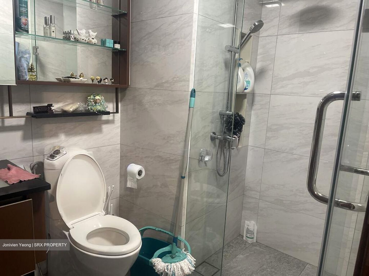 Normanton Park (D5), Apartment #502211901